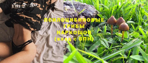 mdpv Горняк