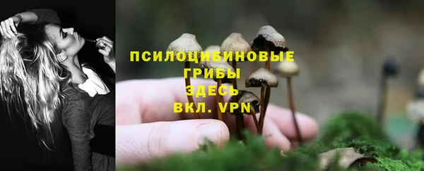 сатива Горнозаводск