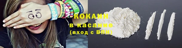 сатива Горнозаводск