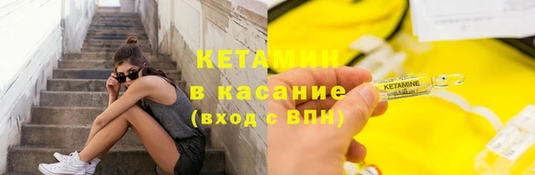 сатива Горнозаводск