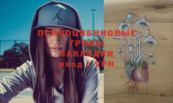 mdpv Горняк