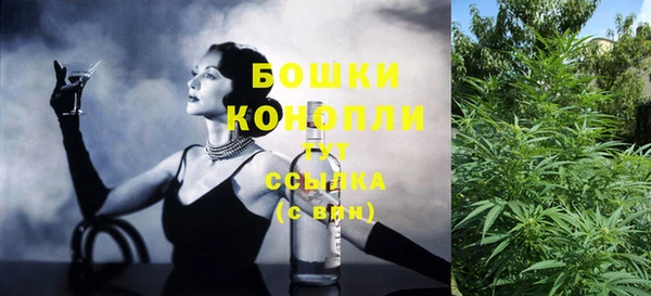 сатива Горнозаводск