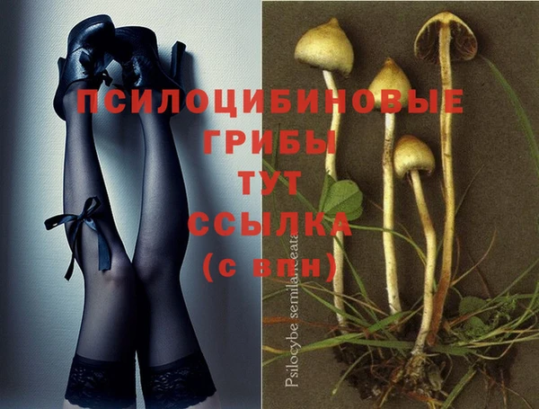 mdpv Горняк